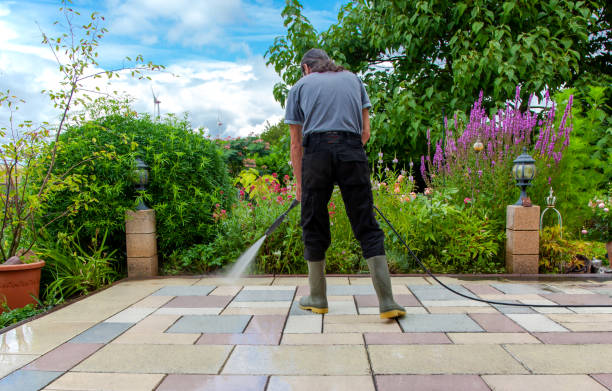 Professional Pressure Washing Services in Papillion, NE